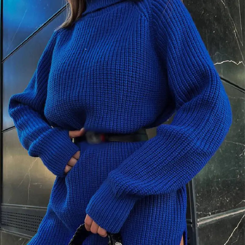 Trend Edge Turtleneck Dress